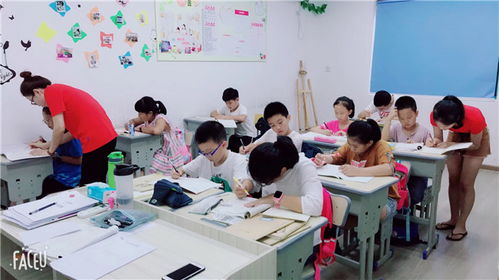 金華初三語(yǔ)文課外輔導(dǎo) 起點(diǎn)教育專注全科輔導(dǎo) 語(yǔ)文補(bǔ)習(xí)